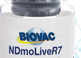 NDmoLiveR7