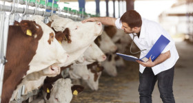 الاضافات العلفية