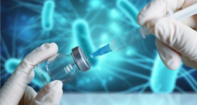 الخيل , القطط والكلاب