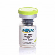 Vir 115B