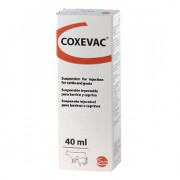 COXEVAC