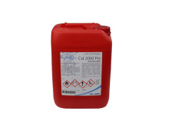 Cid 2000