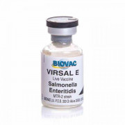 Virsal E
