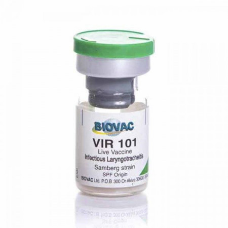 Vir 101