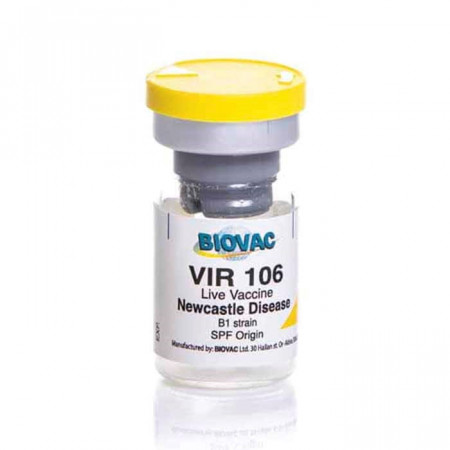 Vir 106