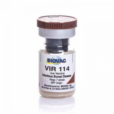 Vir 114