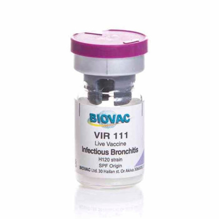 Vir 111