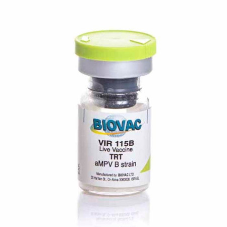 Vir 115B