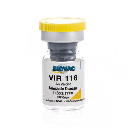 Vir 116