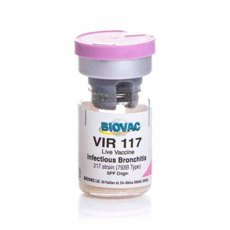 Vir 117