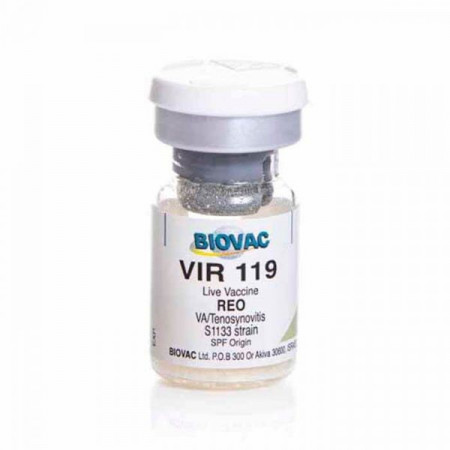 Vir 119