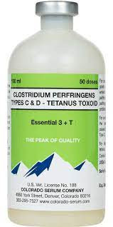 Clostridium Perfring