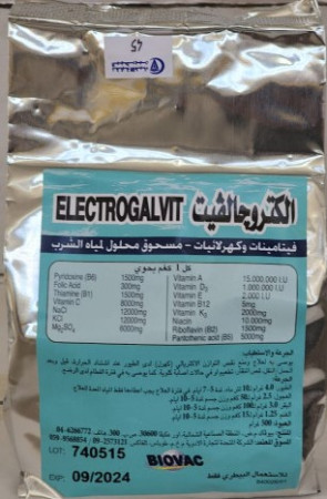 ELECTROGALvit
