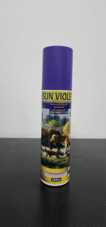 Sun Violet