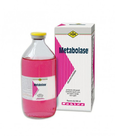 METABOLASE