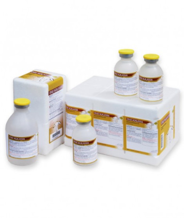 OVAX AGALASSIA 100ml